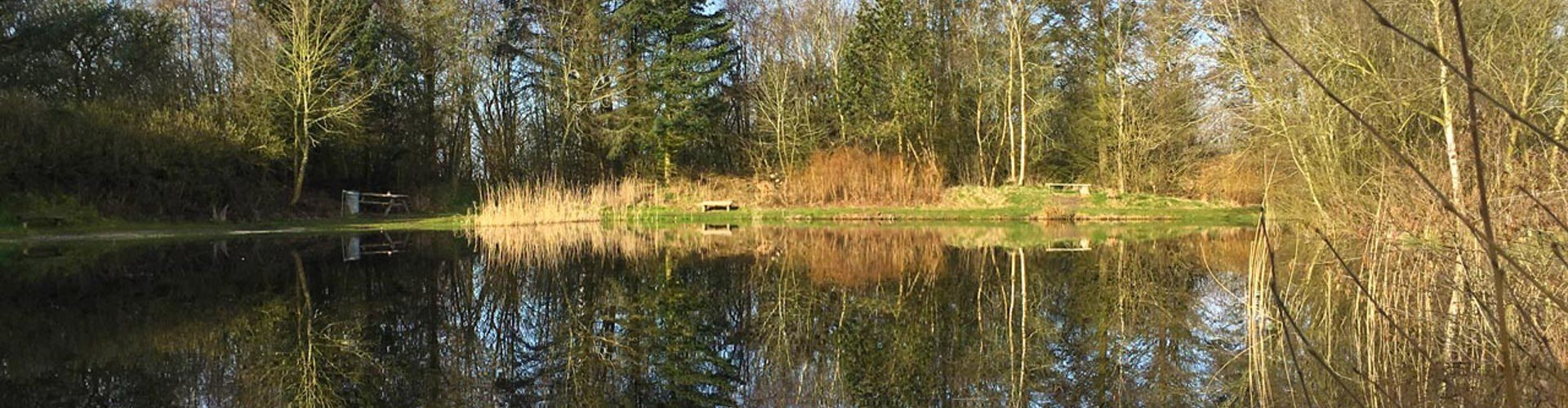 Hemmet Fiskesø